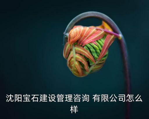 龐?？毓捎邢薰?安徽龐海智能設備制造有限公司
