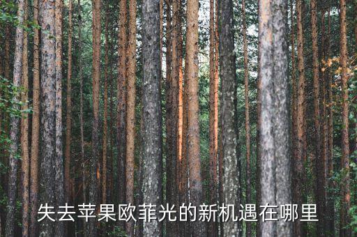 失去蘋(píng)果歐菲光的新機(jī)遇在哪里