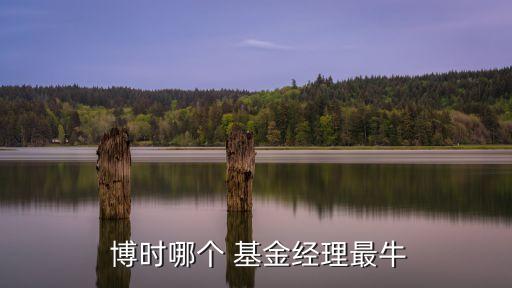  博時哪個 基金經理最牛