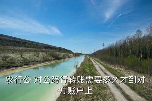 農(nóng)行公 對公跨行轉賬需要多久才到對方賬戶上