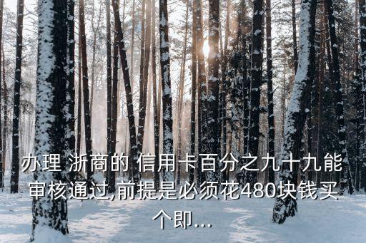 辦理 浙商的 信用卡百分之九十九能審核通過(guò),前提是必須花480塊錢買個(gè)即...