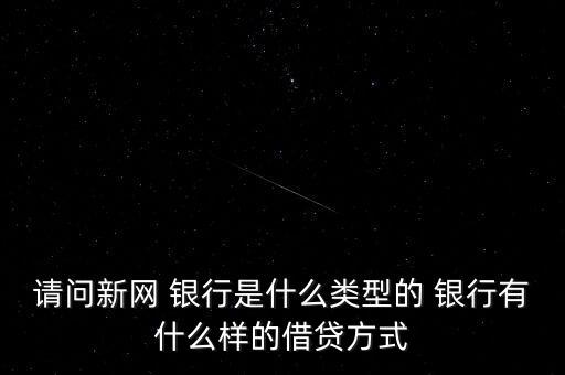 請(qǐng)問(wèn)新網(wǎng) 銀行是什么類型的 銀行有什么樣的借貸方式