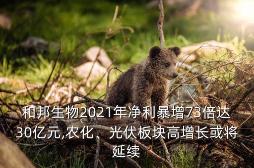 和邦生物2021年凈利暴增73倍達(dá)30億元,農(nóng)化、光伏板塊高增長或?qū)⒀永m(xù)