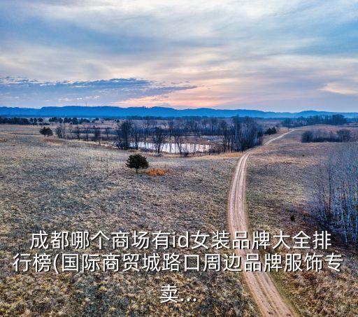  成都哪個(gè)商場(chǎng)有id女裝品牌大全排行榜(國(guó)際商貿(mào)城路口周邊品牌服飾專(zhuān)賣(mài)...