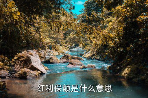保險公司每年的紅利