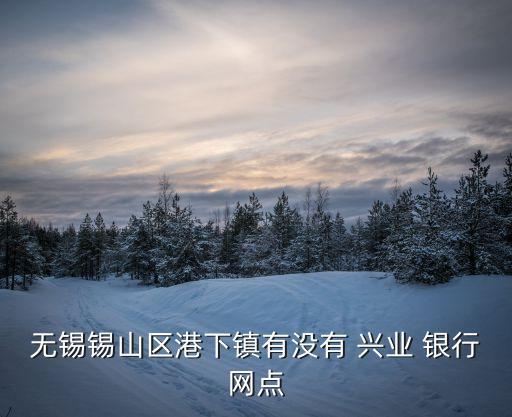 無錫錫山區(qū)港下鎮(zhèn)有沒有 興業(yè) 銀行網點