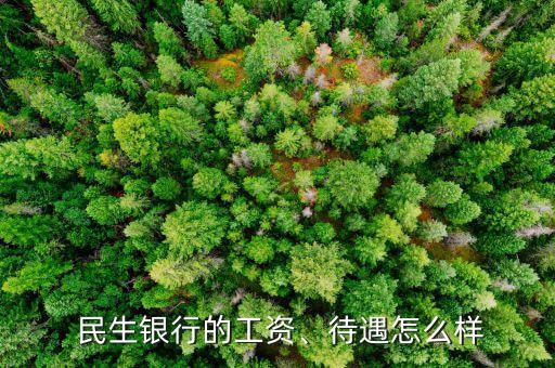  民生銀行的工資、待遇怎么樣