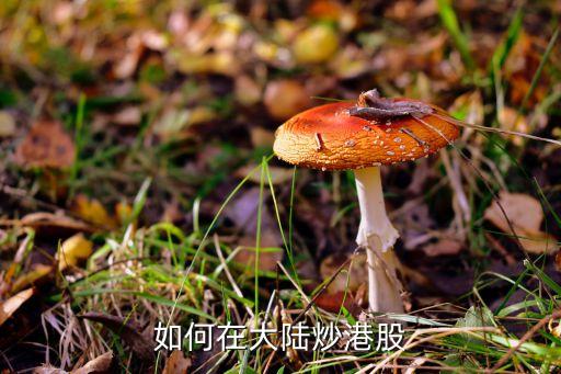 內(nèi)地與香港股票,內(nèi)地如何購(gòu)買香港股票