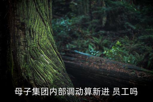 母子集團(tuán)內(nèi)部調(diào)動算新進(jìn) 員工嗎