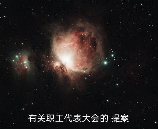 有關(guān)職工代表大會的 提案