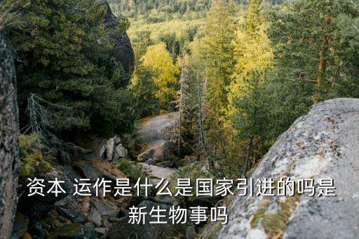  資本 運(yùn)作是什么是國家引進(jìn)的嗎是新生物事嗎
