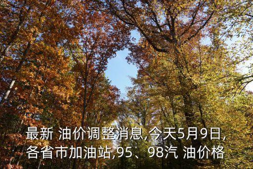 最新 油價(jià)調(diào)整消息,今天5月9日,各省市加油站,95、98汽 油價(jià)格