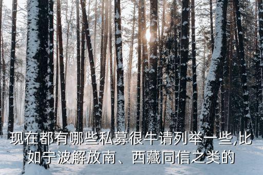 現(xiàn)在都有哪些私募很牛請列舉一些,比如寧波解放南、西藏同信之類的