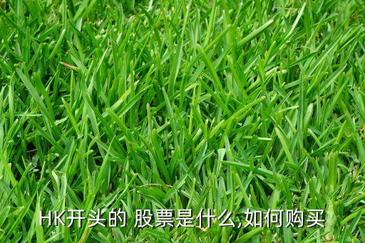 HK開(kāi)頭的 股票是什么,如何購(gòu)買