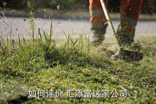 匯添富環(huán)?；饍糁?00696