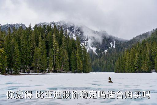 你覺(jué)得 比亞迪股價(jià)穩(wěn)定嗎適合購(gòu)買(mǎi)嗎