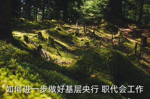 如何進(jìn)一步做好基層央行 職代會工作