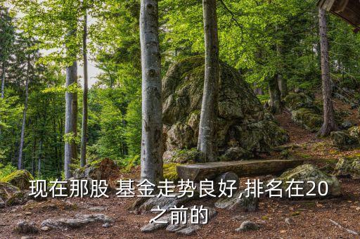 現在那股 基金走勢良好,排名在20之前的