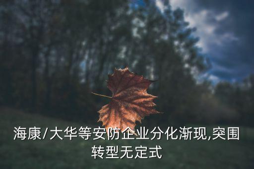 ?？?大華等安防企業(yè)分化漸現(xiàn),突圍轉(zhuǎn)型無定式
