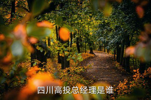 四川高投總經理是誰