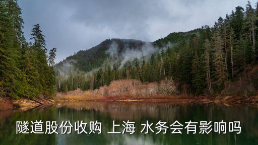 上海水務資產(chǎn)經(jīng)營發(fā)展有限公司