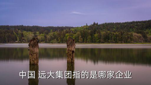 中國 遠(yuǎn)大集團指的是哪家企業(yè)