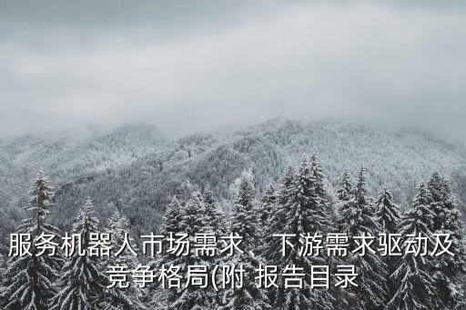 服務(wù)機(jī)器人市場需求、下游需求驅(qū)動及競爭格局(附 報告目錄