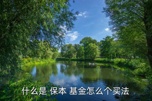 什么是 保本 基金怎么個(gè)買(mǎi)法