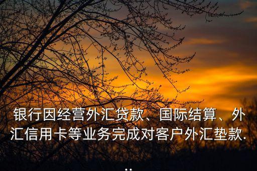  銀行因經(jīng)營外匯貸款、國際結(jié)算、外匯信用卡等業(yè)務(wù)完成對客戶外匯墊款...