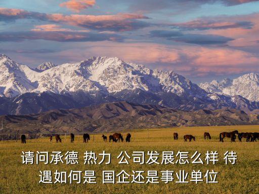 請(qǐng)問承德 熱力 公司發(fā)展怎么樣 待遇如何是 國企還是事業(yè)單位
