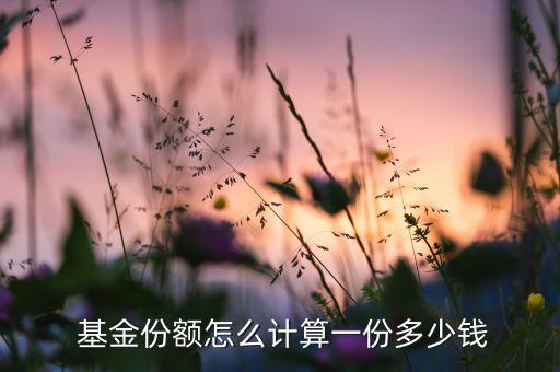  基金份額怎么計(jì)算一份多少錢(qián)