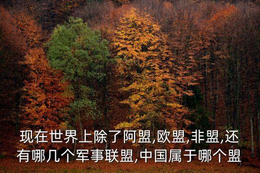 現(xiàn)在世界上除了阿盟,歐盟,非盟,還有哪幾個(gè)軍事聯(lián)盟,中國屬于哪個(gè)盟