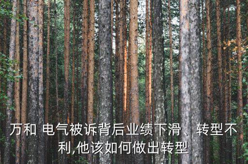 萬(wàn)和 電氣被訴背后業(yè)績(jī)下滑、轉(zhuǎn)型不利,他該如何做出轉(zhuǎn)型