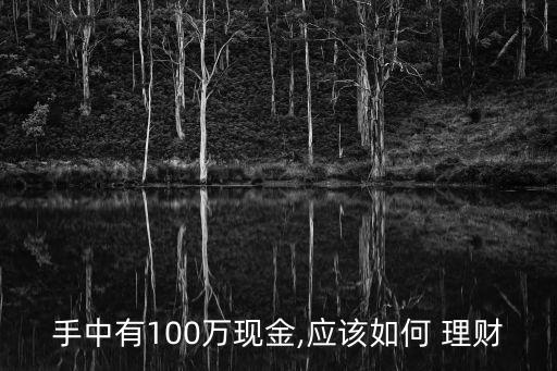 手中有100萬現(xiàn)金,應(yīng)該如何 理財