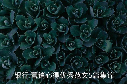  銀行 營(yíng)銷(xiāo)心得優(yōu)秀范文5篇集錦