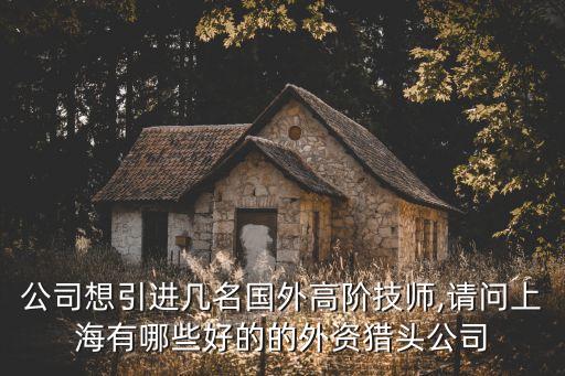 公司想引進(jìn)幾名國外高階技師,請問上海有哪些好的的外資獵頭公司