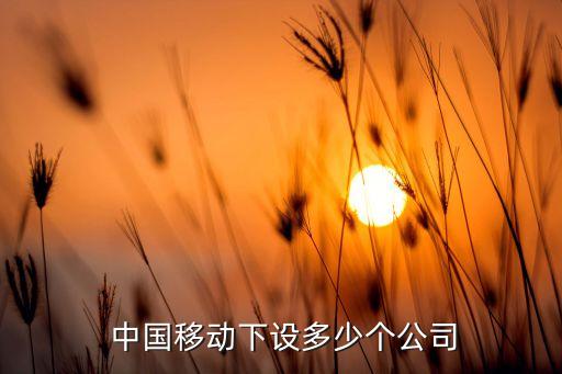  中國移動(dòng)下設(shè)多少個(gè)公司