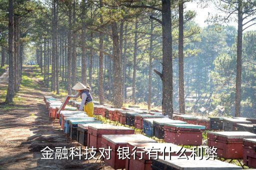 金融環(huán)境對銀行的影響,互聯(lián)網金融給銀行帶來的影響