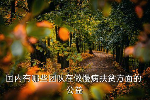 國內有哪些團隊在做慢病扶貧方面的 公益