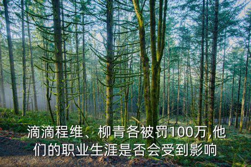  滴滴程維、柳青各被罰100萬(wàn),他們的職業(yè)生涯是否會(huì)受到影響