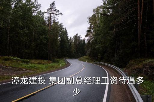  漳龍建投 集團副總經(jīng)理工資待遇多少