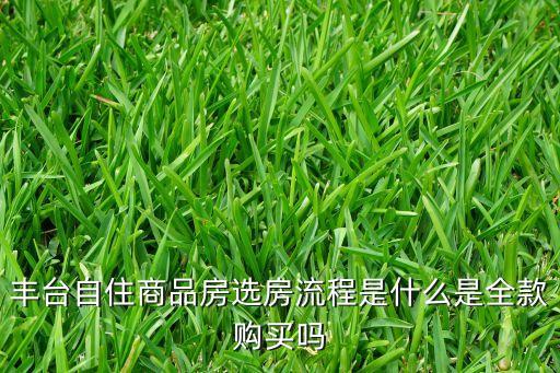 豐臺(tái)自住商品房選房流程是什么是全款購(gòu)買嗎