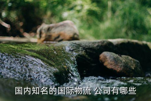 國內知名的國際物流 公司有哪些