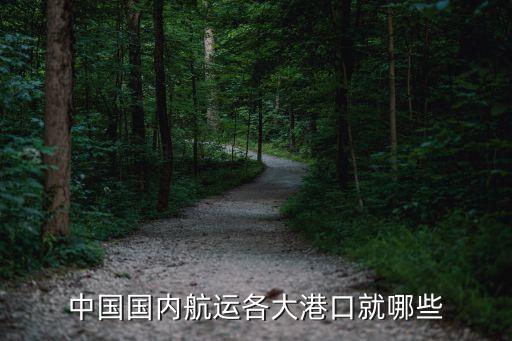 中國國內(nèi)航運(yùn)各大港口就哪些