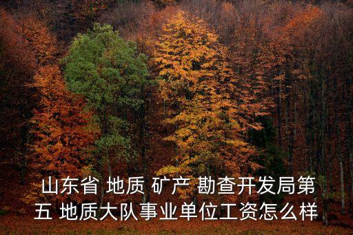 山東省 地質(zhì) 礦產(chǎn) 勘查開(kāi)發(fā)局第五 地質(zhì)大隊(duì)事業(yè)單位工資怎么樣
