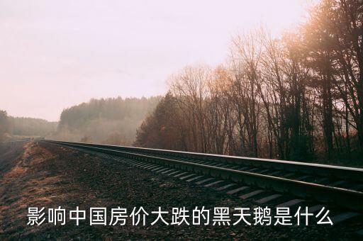 影響中國房價(jià)大跌的黑天鵝是什么