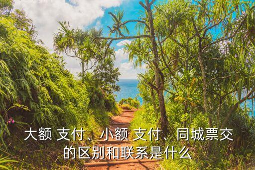  大額 支付、小額 支付、同城票交的區(qū)別和聯(lián)系是什么