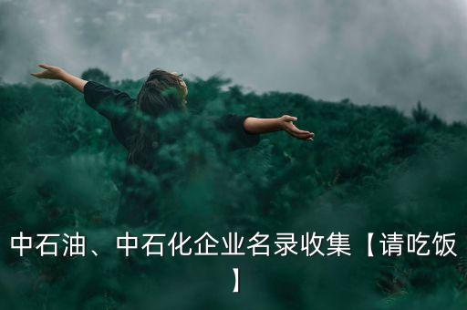中石油、中石化企業(yè)名錄收集【請吃飯】