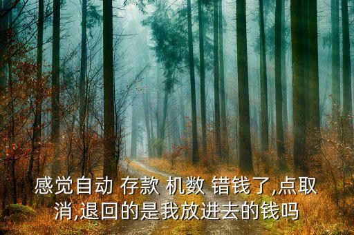 感覺(jué)自動(dòng) 存款 機(jī)數(shù) 錯(cuò)錢了,點(diǎn)取消,退回的是我放進(jìn)去的錢嗎