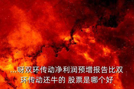 ...呀雙環(huán)傳動凈利潤預(yù)增報告比雙環(huán)傳動還牛的 股票是哪個好